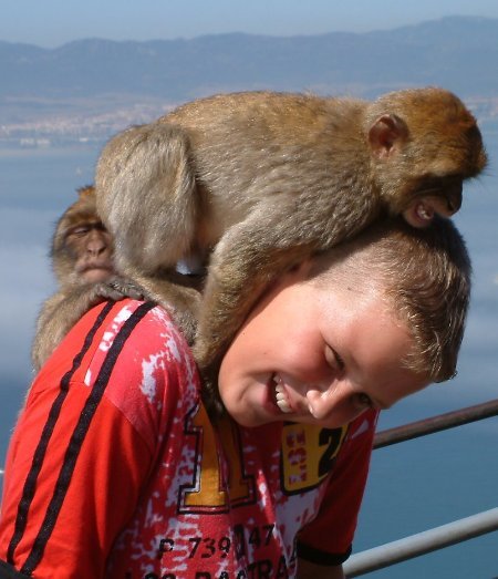 Africa from Gibraltar